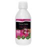 Aloe Vera + Canarian Tuno Prickly Pear 99.7% 250 ml 6 - Penca Zábila 